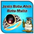 Jenis Batu Akik Batu Cincin