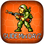 Guide for Mini DAYZ
