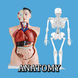 Anatomy Physiology 4D‏ Tips icon