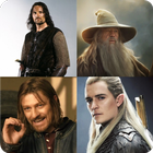 Lord of The Rings Quiz icône
