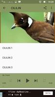 Master Burung Kasaran تصوير الشاشة 2