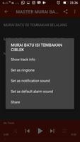 MASTER MURAI BATU AUDIO TRACK Ekran Görüntüsü 2