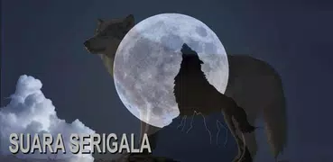 Ringtone Suara Serigala