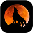 Ringtone Suara Serigala أيقونة