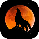 Icona Ringtone Suara Serigala