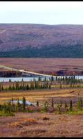 Alaska Fonds d'écran et thèmes capture d'écran 2