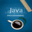 Learn Java Programming APK