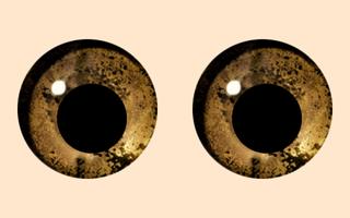 Googly Eyes syot layar 2