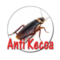 ”Anti Kecoa
