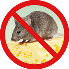 Anti Rat Repeller - Mouse 아이콘