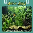 Aquarium Decoration Ideas