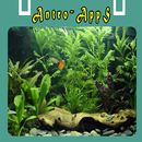 Acuario Ideas Decoración APK