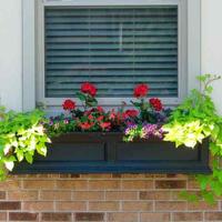 Window Box Planters screenshot 1