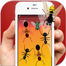 Ants in Phone Screen Killer APK