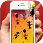 Ants in Phone Insect Crush أيقونة