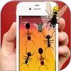 Ants in Phone Insect Crush-APK