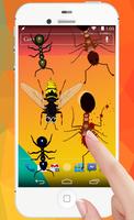 Ants in Phone Insect Crush تصوير الشاشة 1
