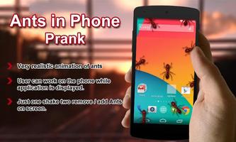 Ants In Phone Screen Prank Affiche