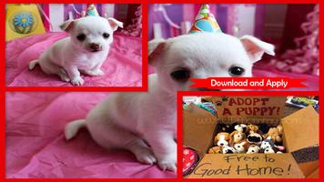 Adorable Puppy Party Dress 스크린샷 2