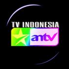 antv tv indonesia-icoon