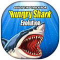 Guide Hungry Shark Evolution