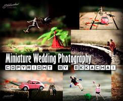 Miniature Wedding Photography الملصق