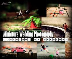 Miniature Wedding Photography poster