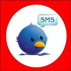 Auto SMS forward icon