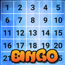 Bingo Game:2 Player Game APK