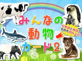 動物カード２　子供向け図鑑　教育・知育・英語 poster