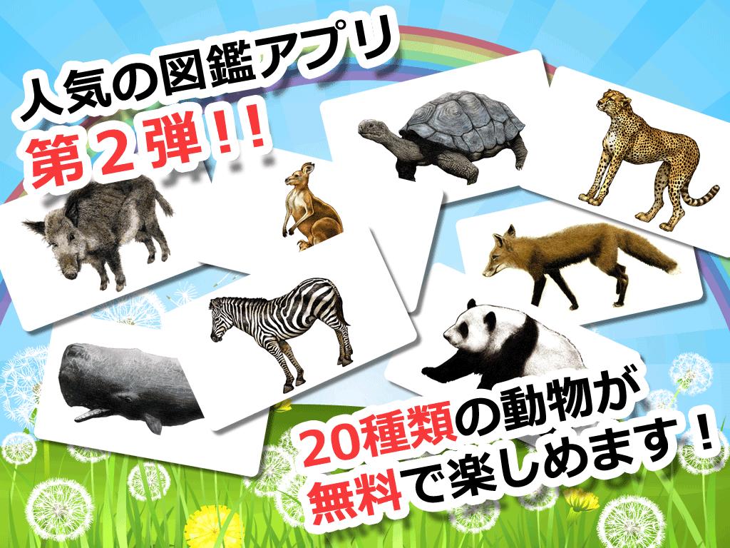 動物カード２ 子供向け図鑑 教育 知育 英語安卓下載 安卓版apk 免費下載