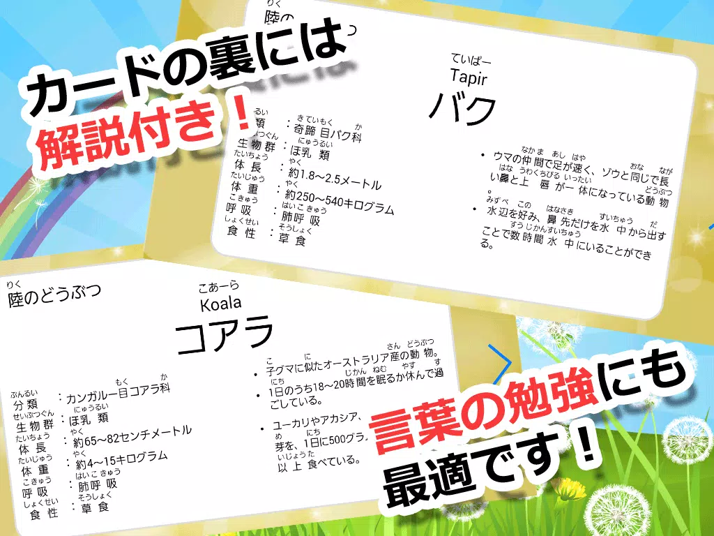 動物カード2 子供向け図鑑 教育 知育 英語 Apk Fur Android Herunterladen 動物カード2 子供向け図鑑 教育 知育 英語 Apk Fur Android Herunterladen