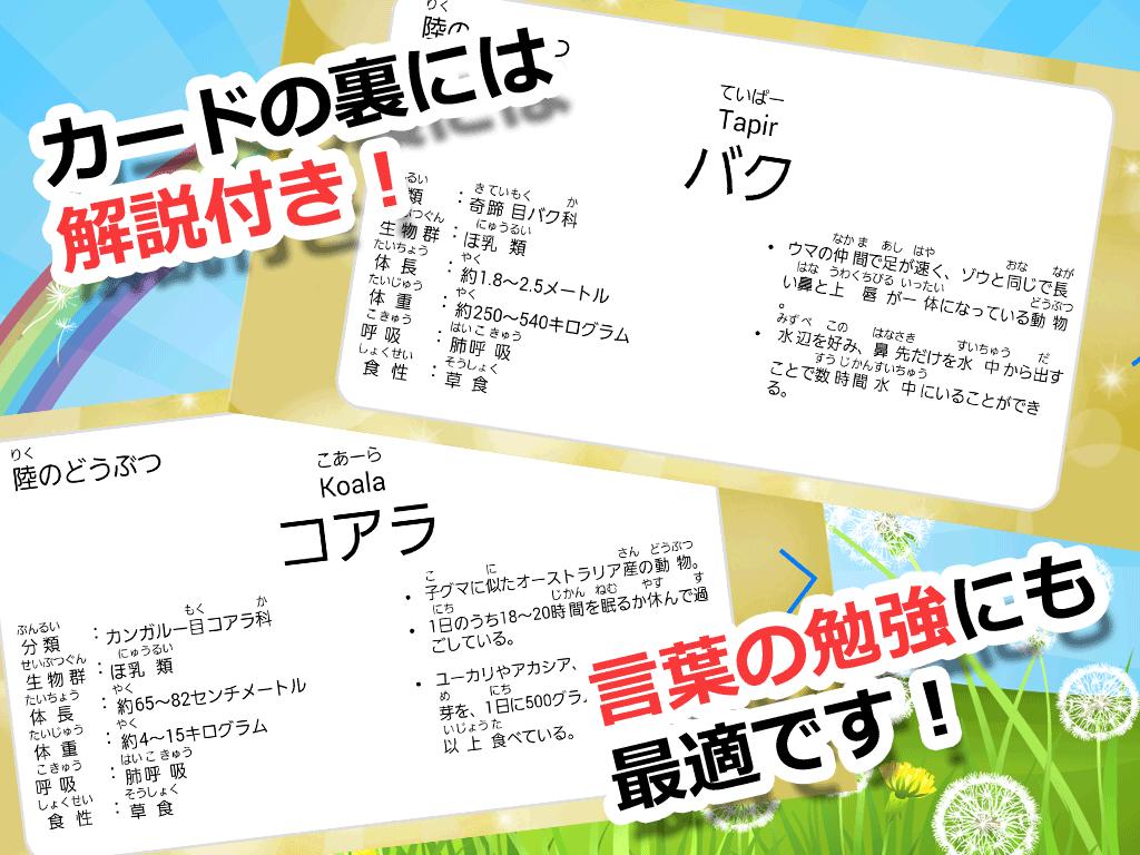 動物カード2 子供向け図鑑 教育 知育 英語 Fur Android Apk Herunterladen 動物カード2 子供向け図鑑 教育 知育 英語 Fur Android Apk Herunterladen