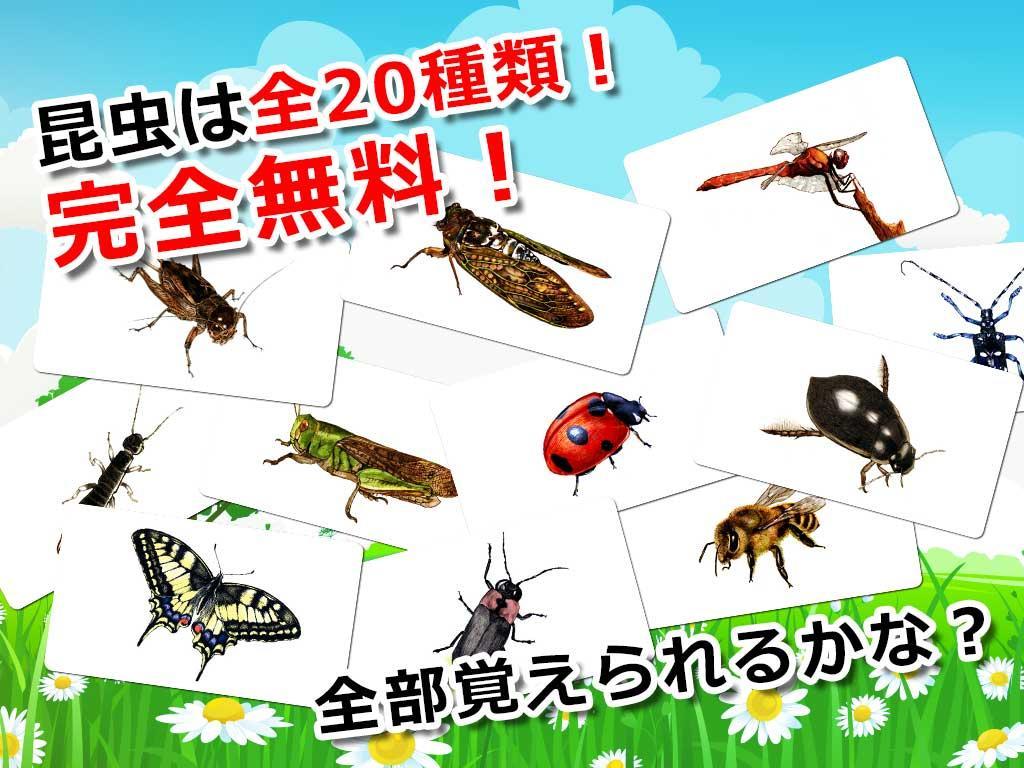 Android 用の 昆虫カード Apk をダウンロード Android 用の 昆虫カード Apk をダウンロード