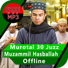 Muzammil Hasballah MP3 Offline Terlengkap icône