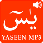 Yaseen Mp3 Translation English icône