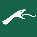 Modern Snake Game APK