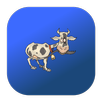 Oxtail Recipes APK