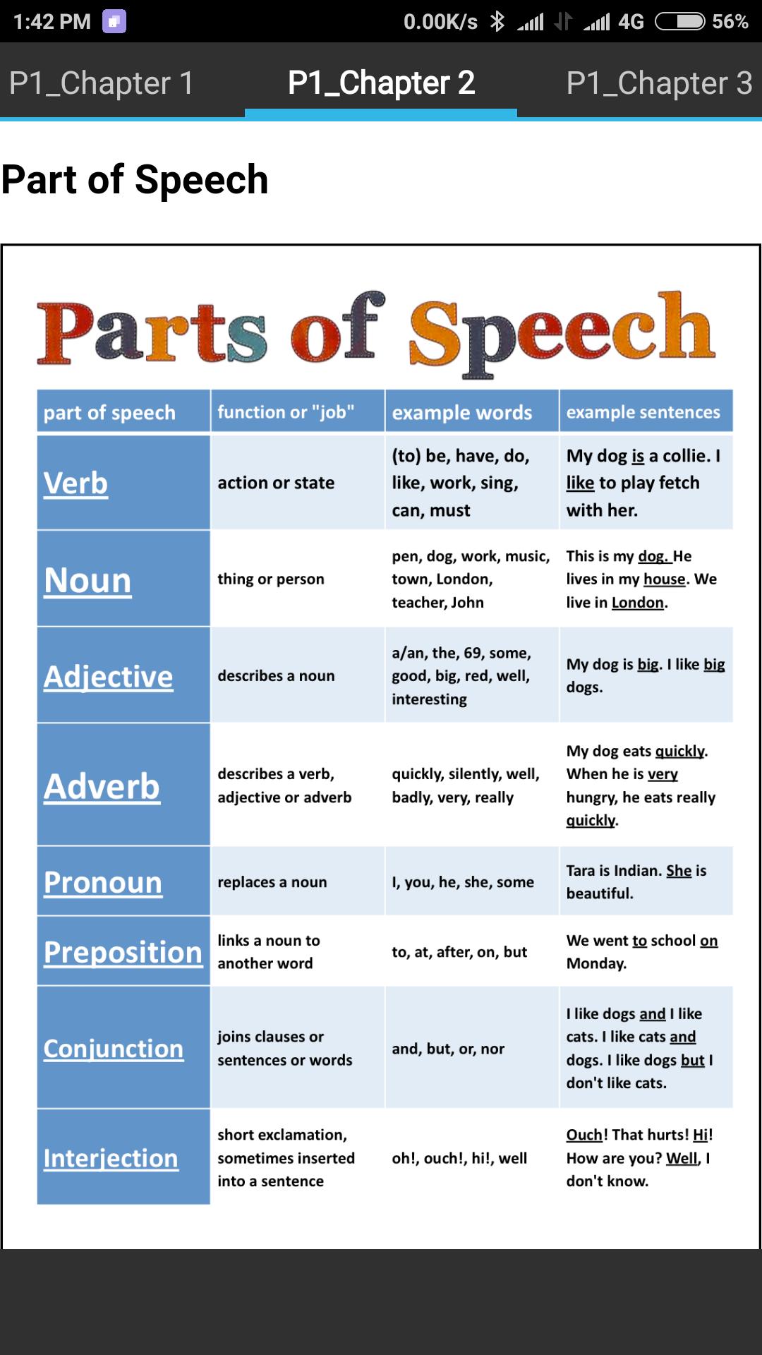 Verbs function