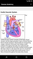 Human Anatomy 海報