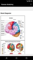 1 Schermata Human Anatomy