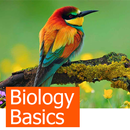 Learning Biology Basics APK