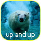 Panduan Membuat Foto Up And Up icon