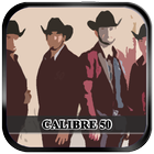 Calibre 50 icon