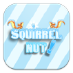 Squirrel Nuts Run