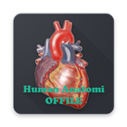 Human Anatomy icon