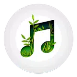 Relaxing Sounds of Nature