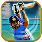 Batsman Cricket Game - Cricket icône
