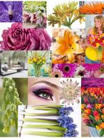 Floral Fundamentals اسکرین شاٹ 2