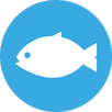 Apeixonado Aquarismo - FREE APK